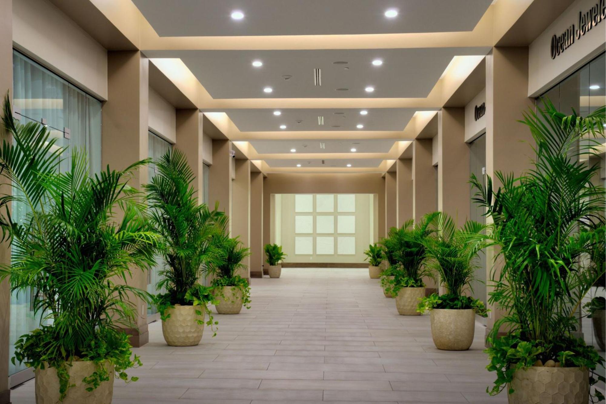 Jw Marriott St Maarten Beach Resort & Spa Dawn Beach Luaran gambar